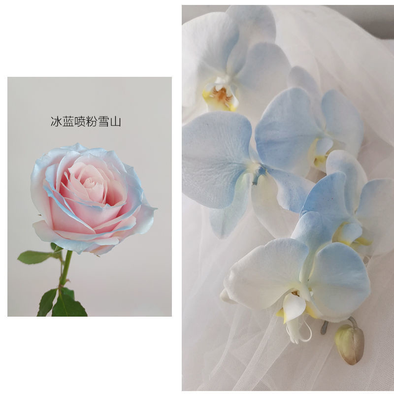MSDS 350mlの花の真珠色のスプレー、花のためのブリキのペンキのスプレー