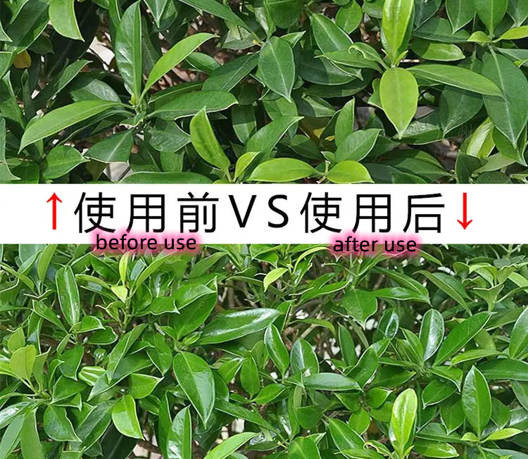 マルチシーンのブリキの葉の輝やきは友好的な緑のびん色Ecoに吹きかける